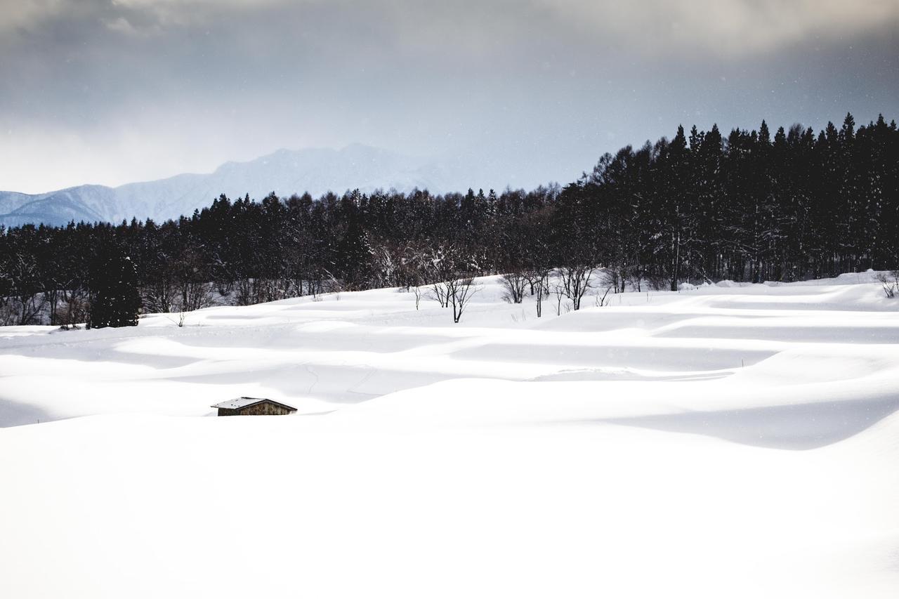 Hakuba Cortina Lodge 오타리 외부 사진