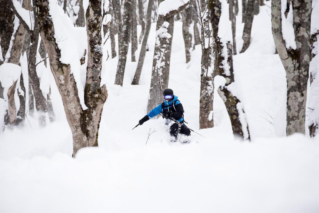 Hakuba Cortina Lodge 오타리 외부 사진